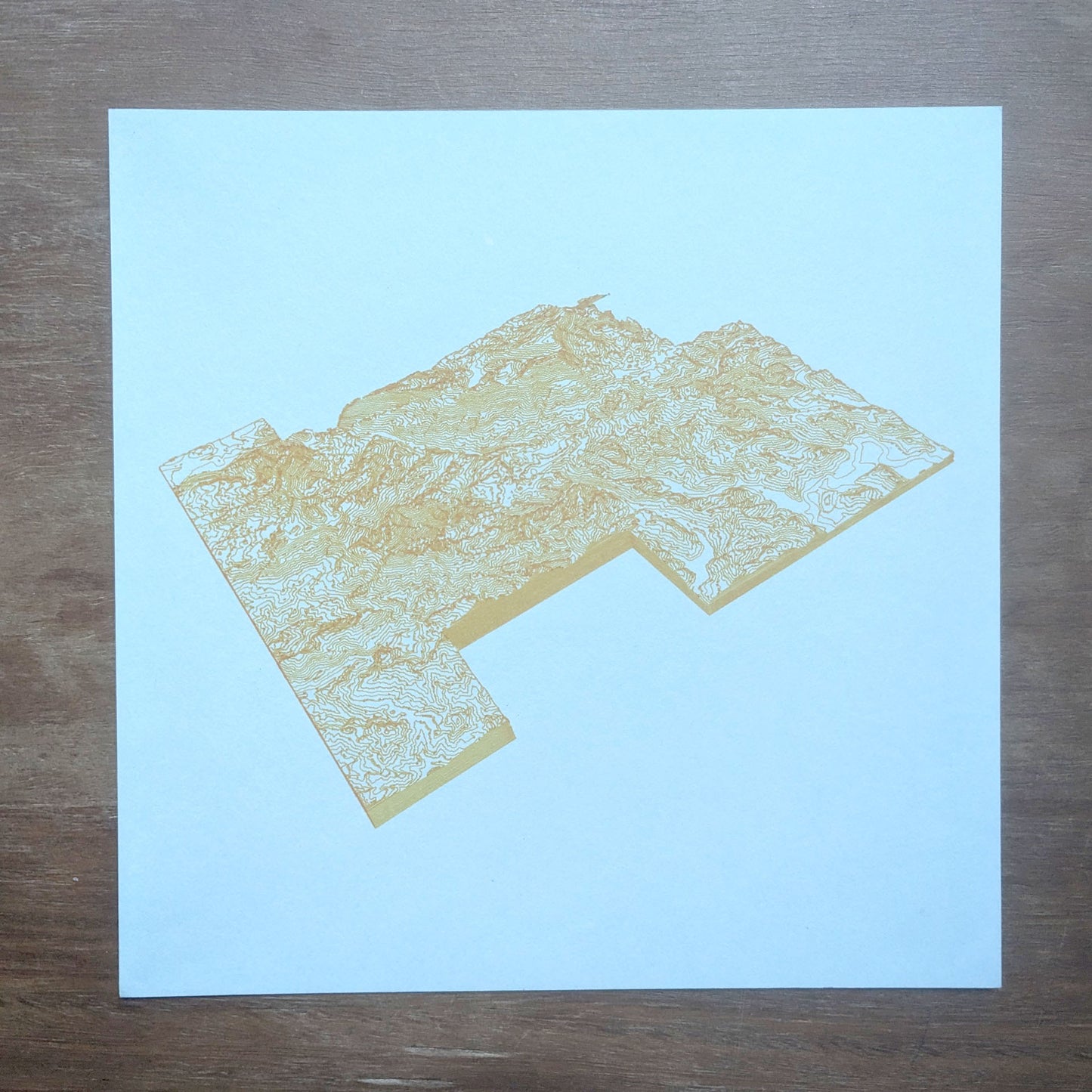 8in x 8in Clastop Forest Plotter Drawing