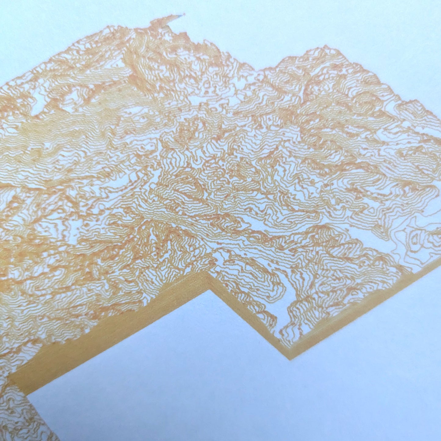 8in x 8in Clastop Forest Plotter Drawing